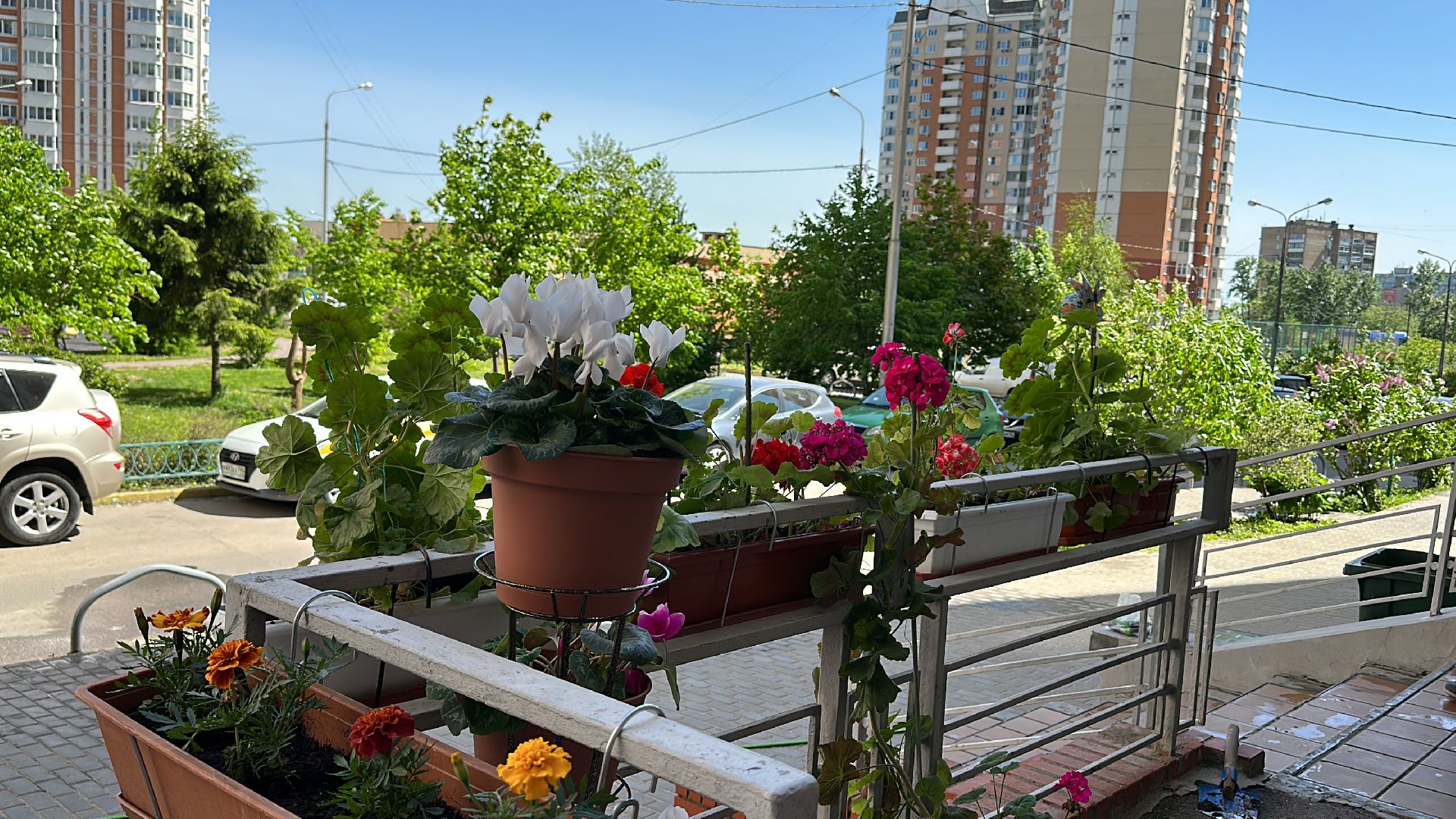 Одинцово, Благоустройство, Озеленение