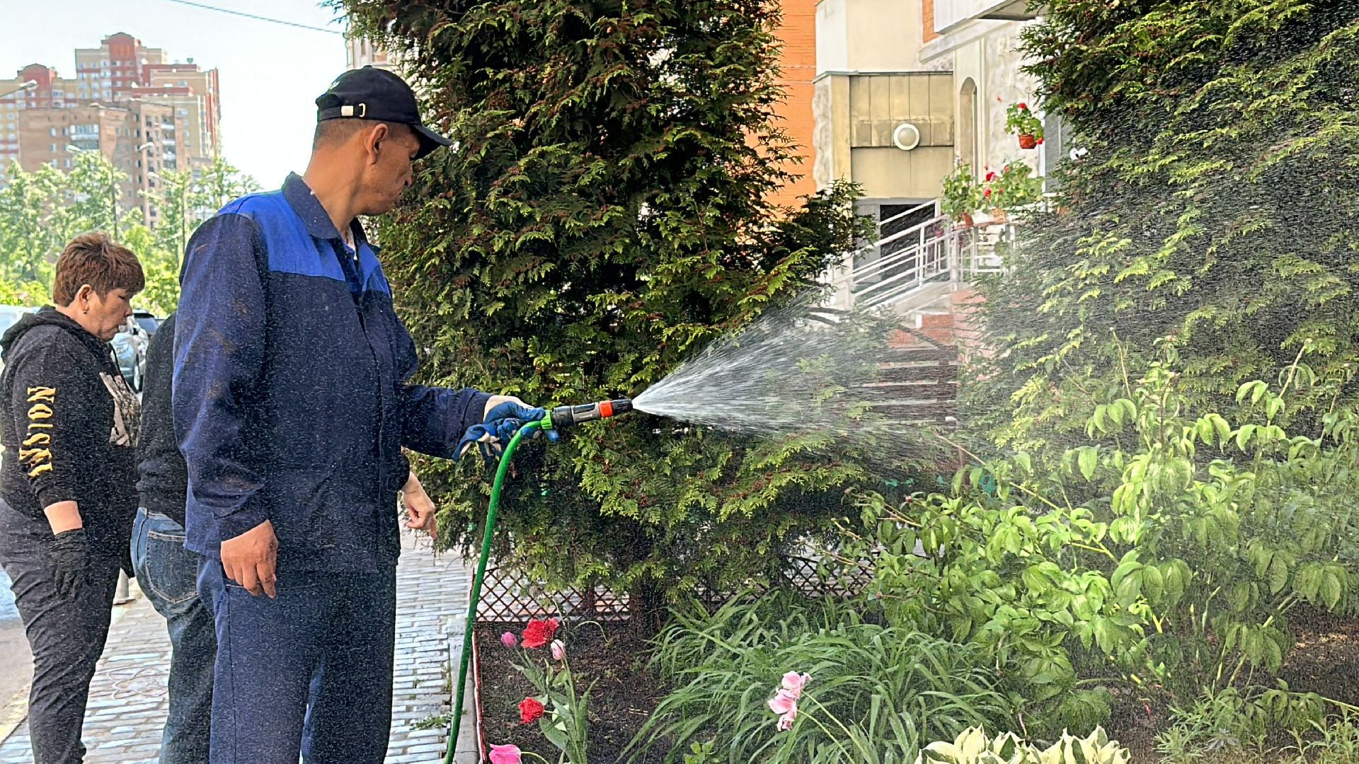 Одинцово, Благоустройство, Озеленение