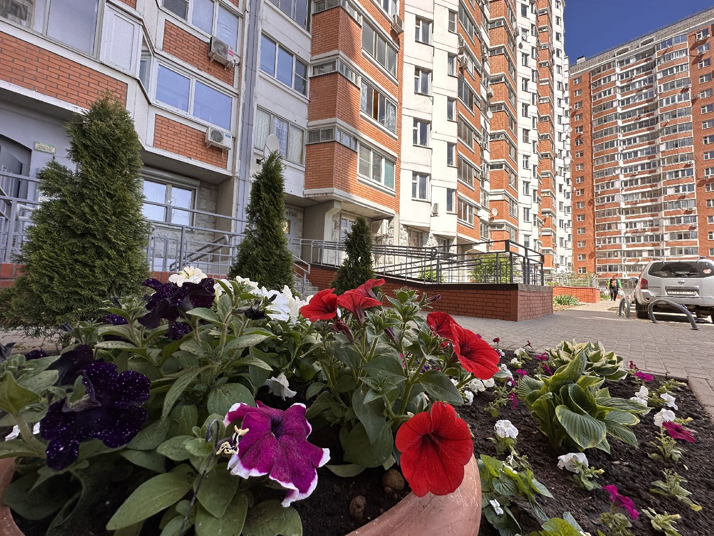 Одинцово, Благоустройство, Озеленение