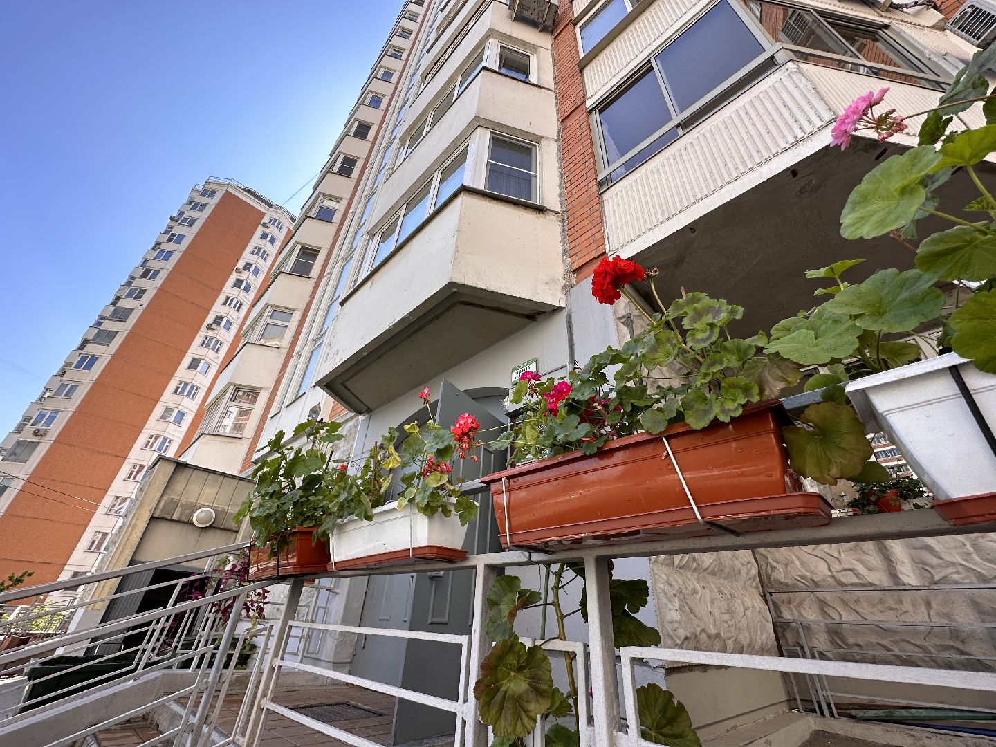 Одинцово, Благоустройство, Озеленение