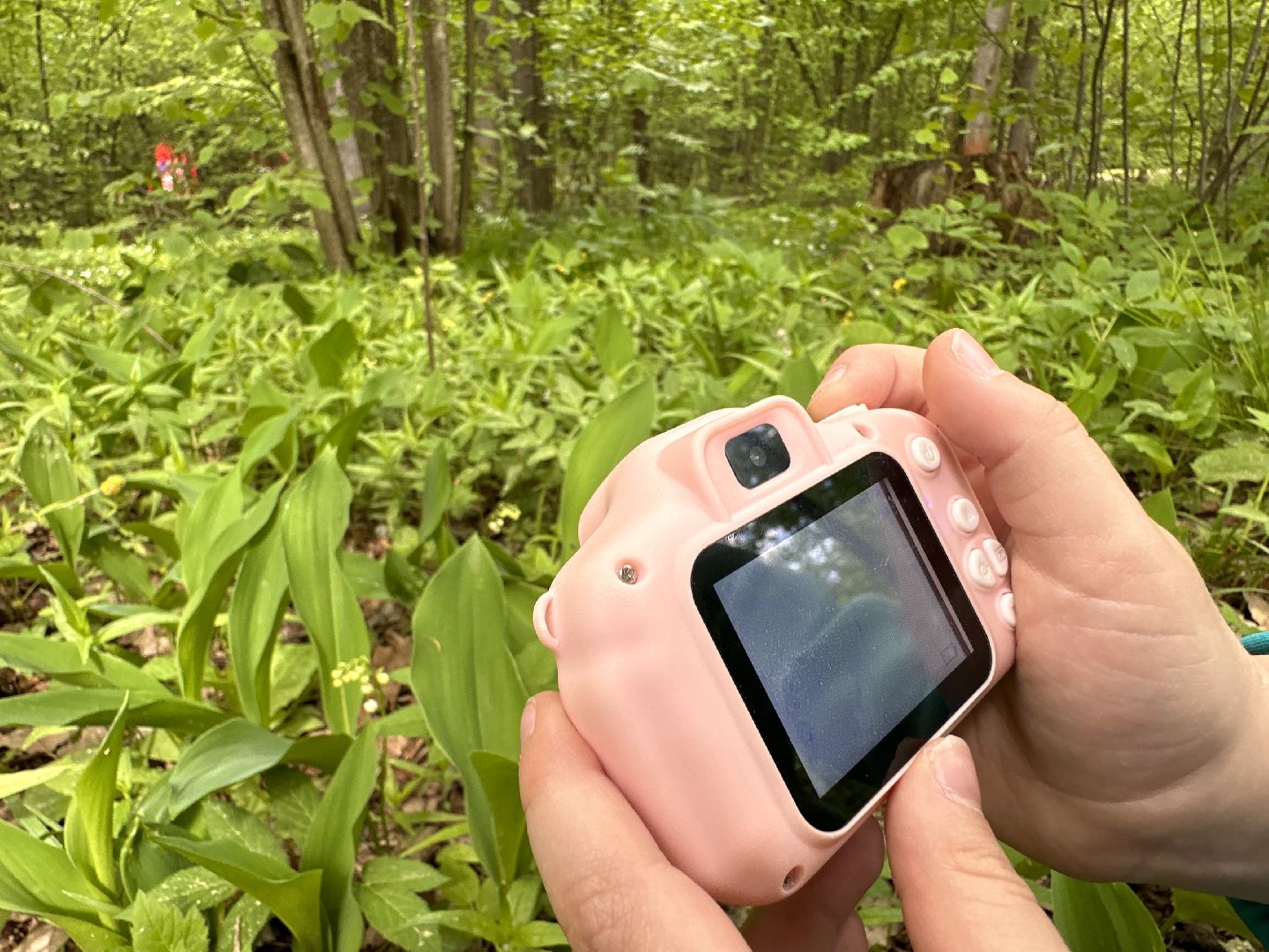 Одинцово, Парки Подмосковья, Ландыши, Экология