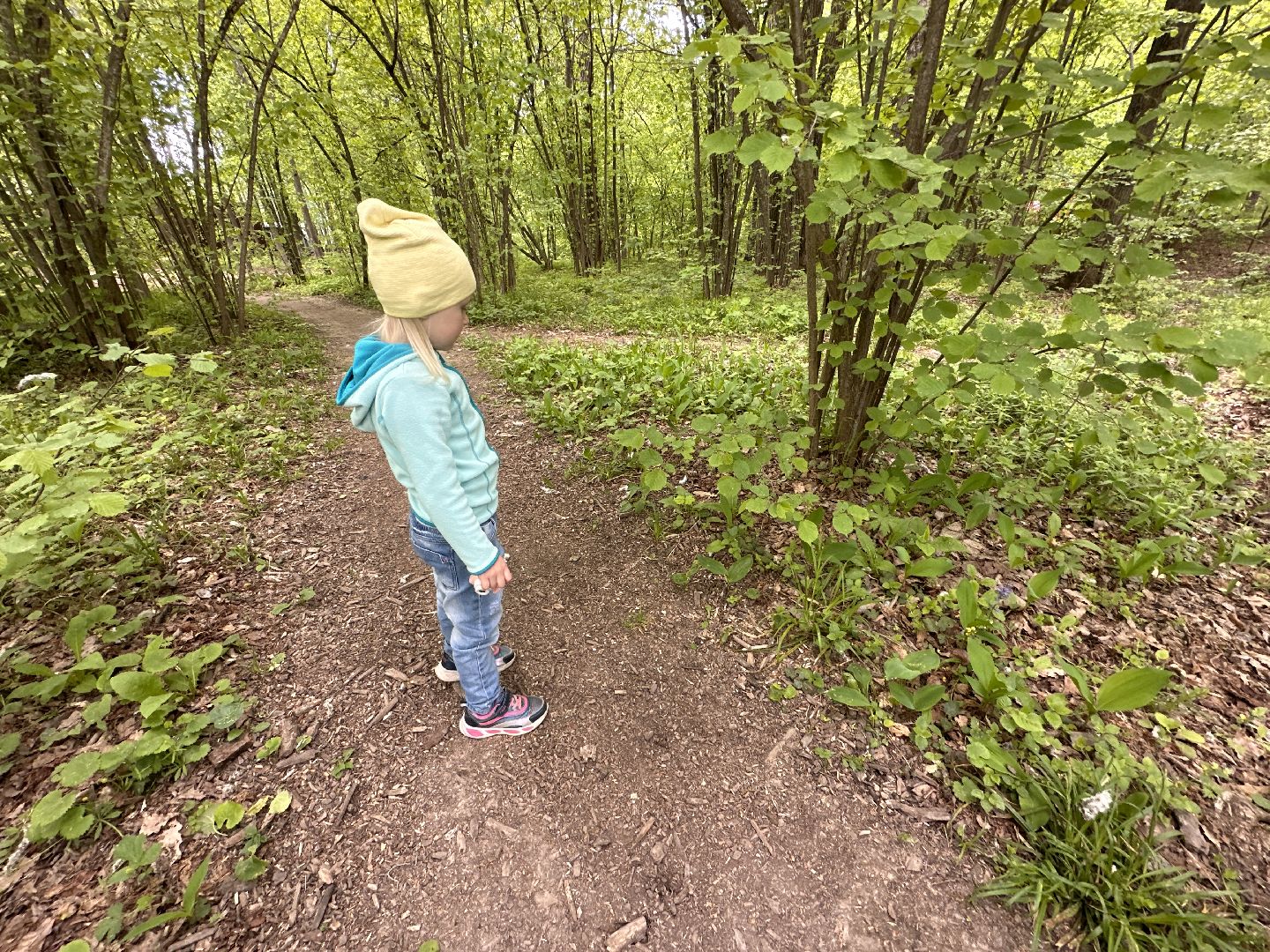 Одинцово, Парки Подмосковья, Ландыши, Экология