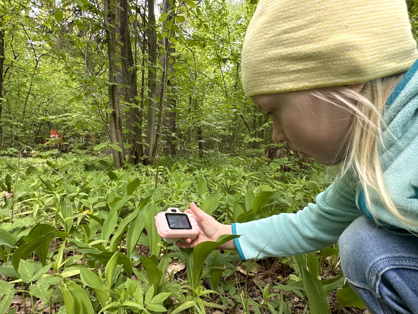 Одинцово, Парки Подмосковья, Ландыши, Экология