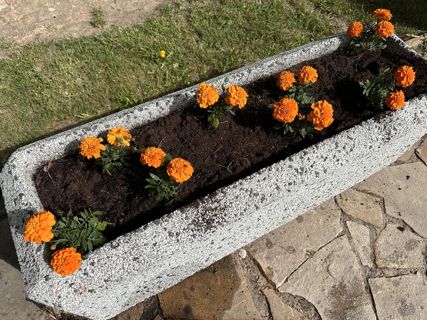 Одинцово, Парки Подмосковья, Экология