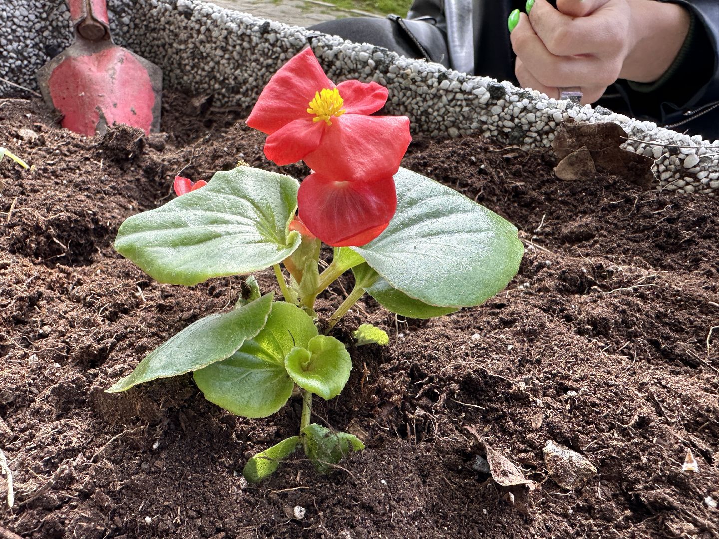 Одинцово, Парки Подмосковья, Экология