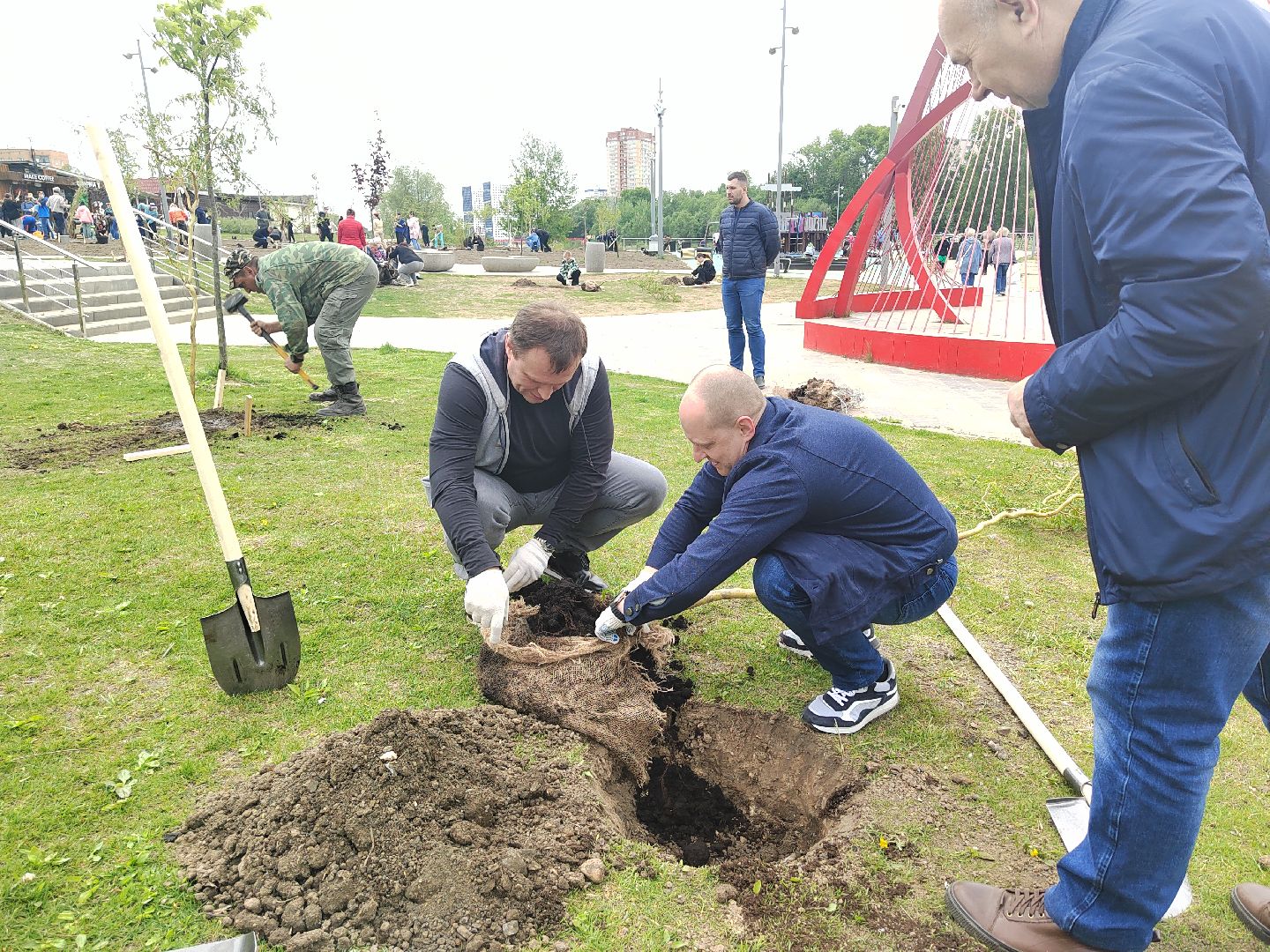 Пушкино, Пушкинский округ, Лес Победы, экология, чистый город