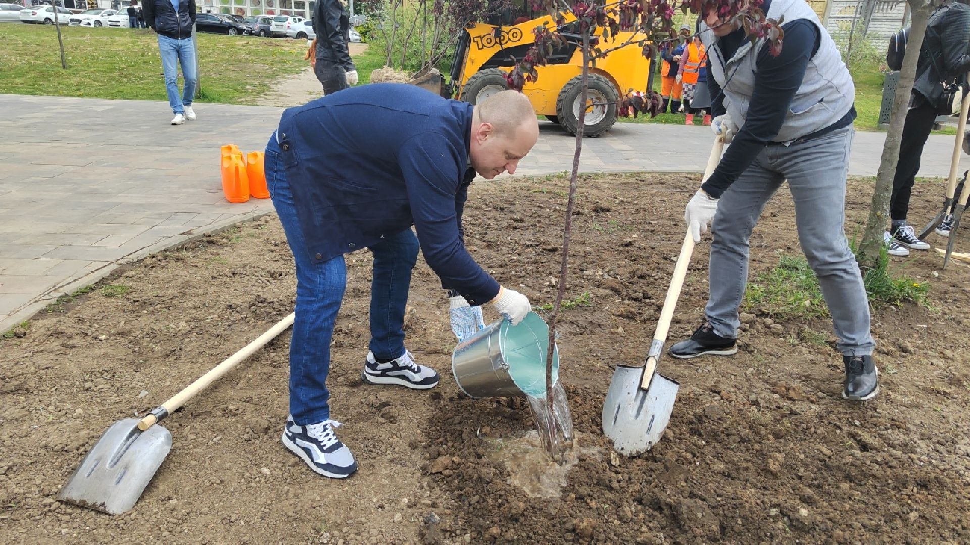 Пушкино, Пушкинский округ, Лес Победы, экология, чистый город