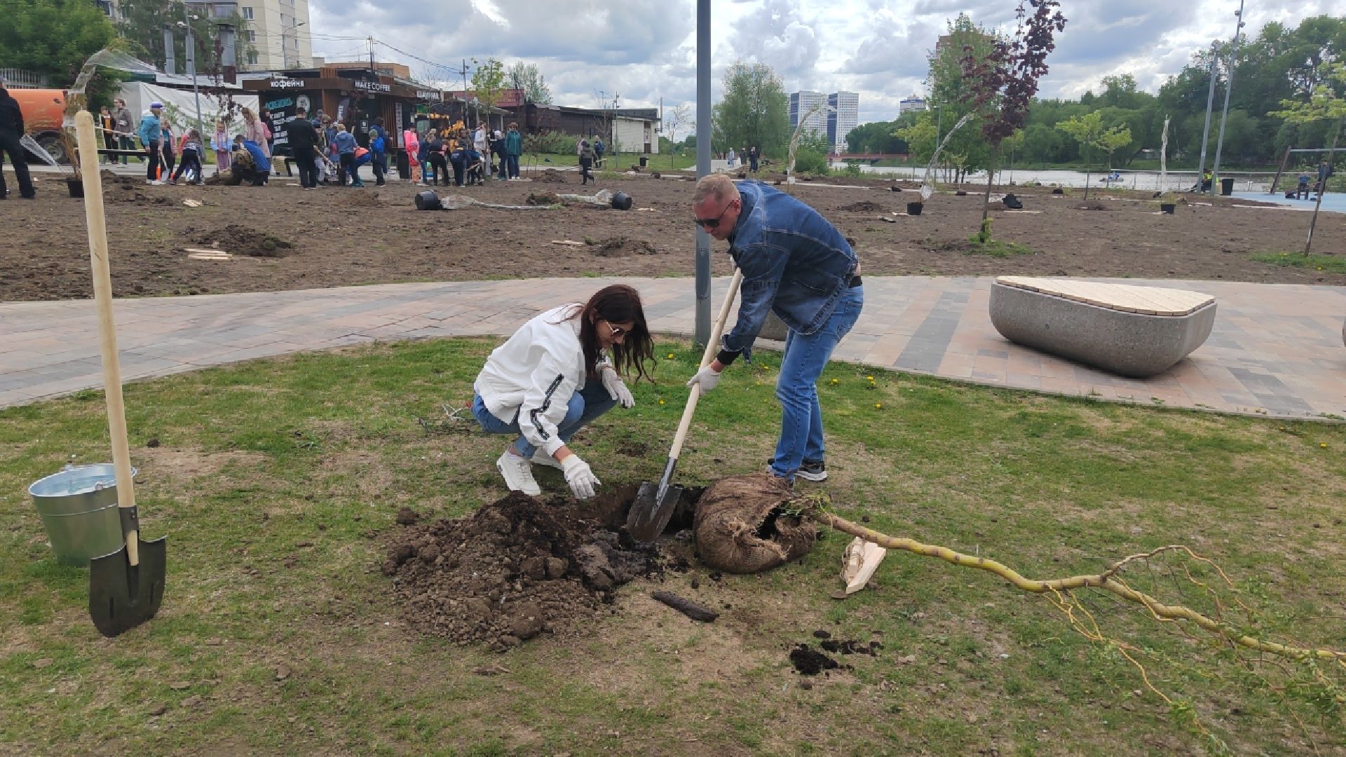 Пушкино, Пушкинский округ, Лес Победы, экология, чистый город