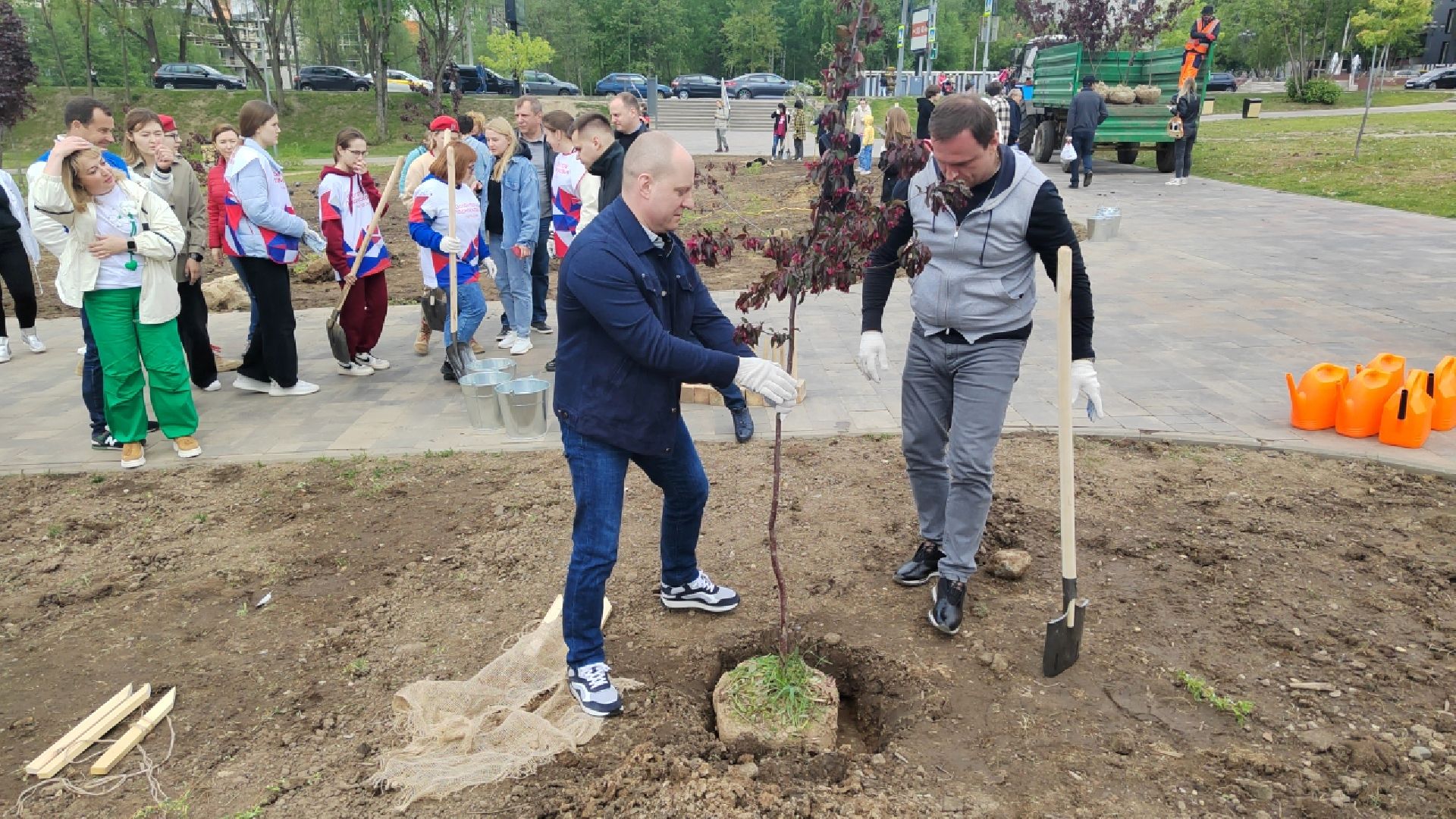 Пушкино, Пушкинский округ, Лес Победы, экология, чистый город