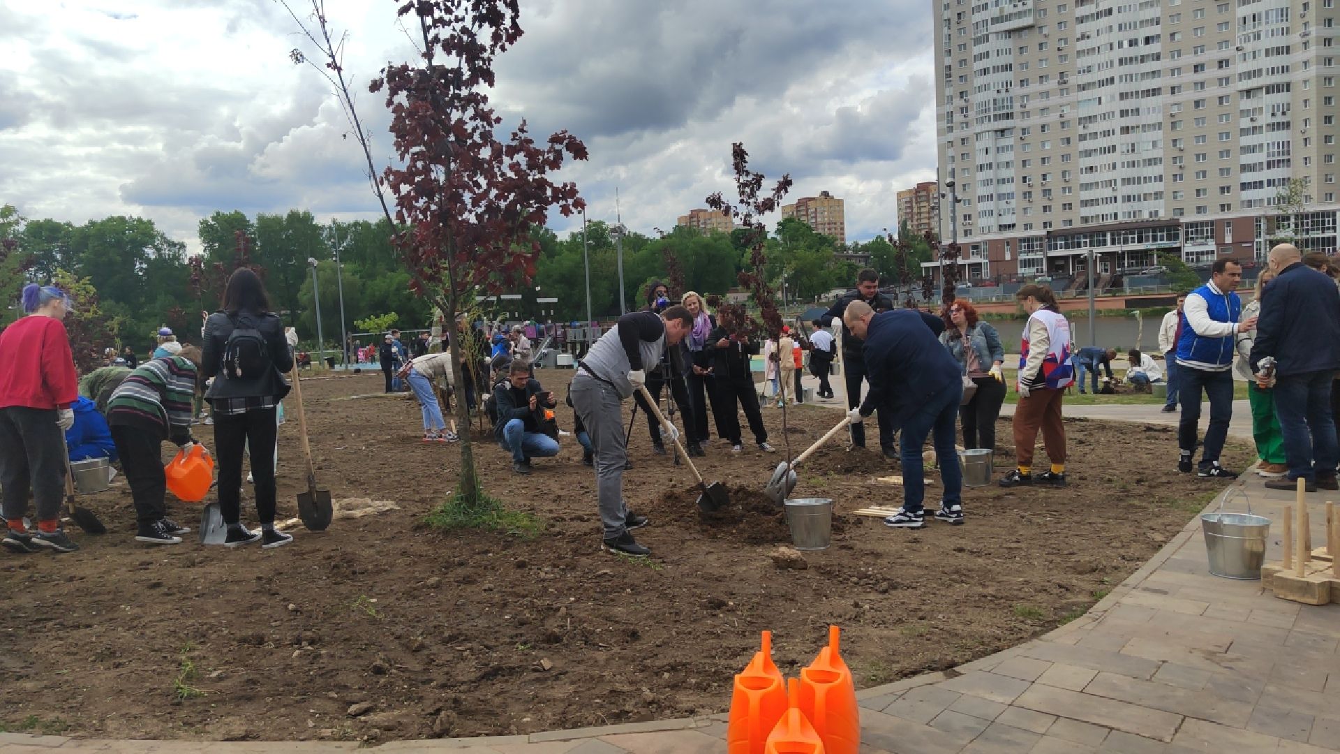 Пушкино, Пушкинский округ, Лес Победы, экология, чистый город