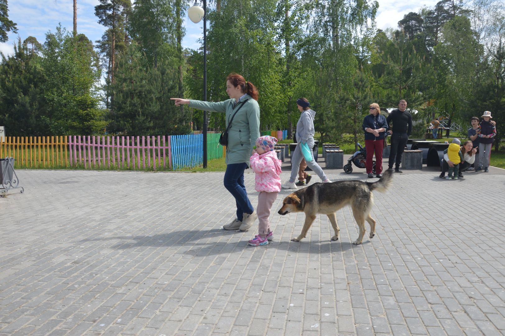 гуляния в парке, Шатура