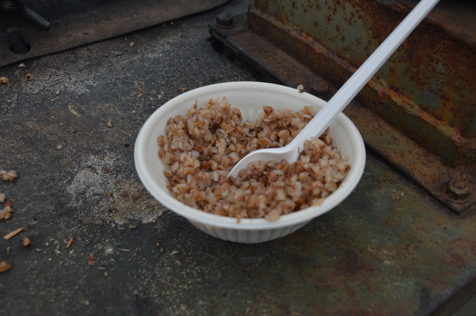 гуляния в парке, Шатура