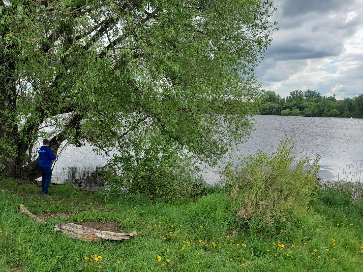 Молодая гвардия, День Волги, Дубна