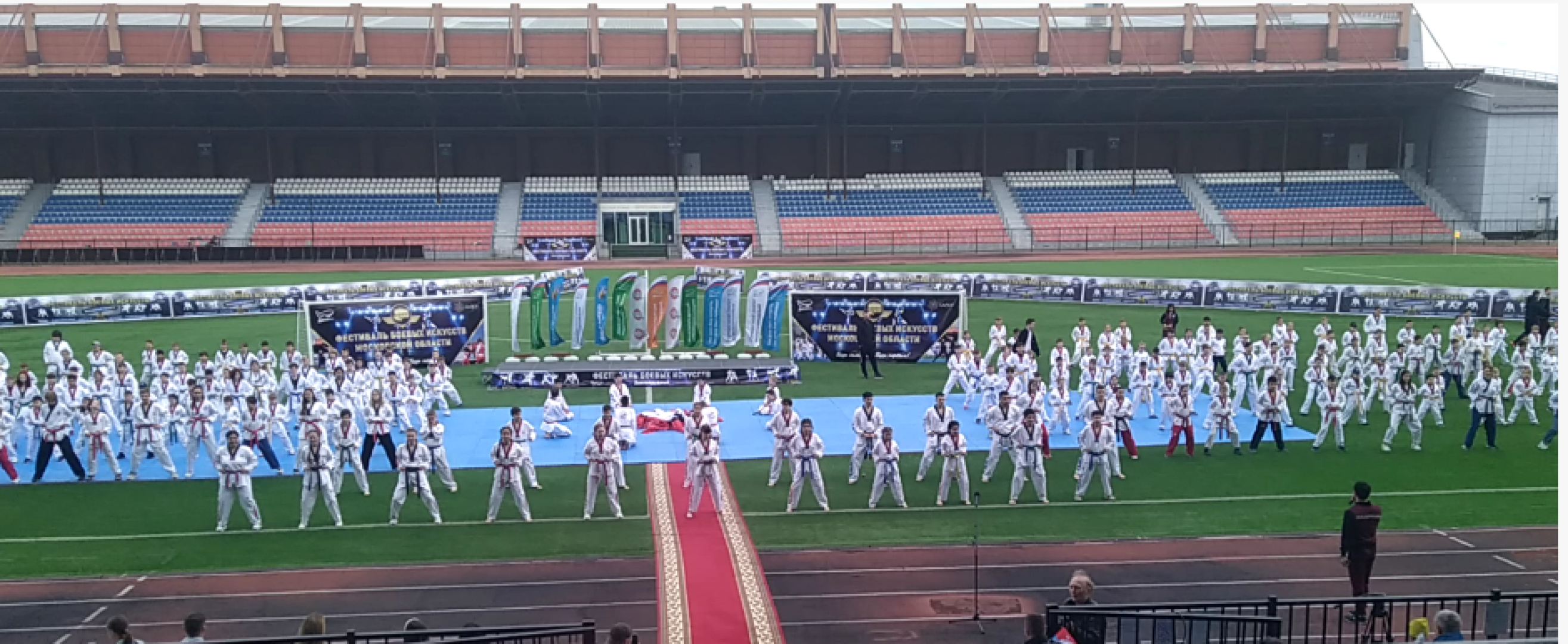 Долгопрудный, тхэквондо, спорт, праздник, фестиваль, Обнинск