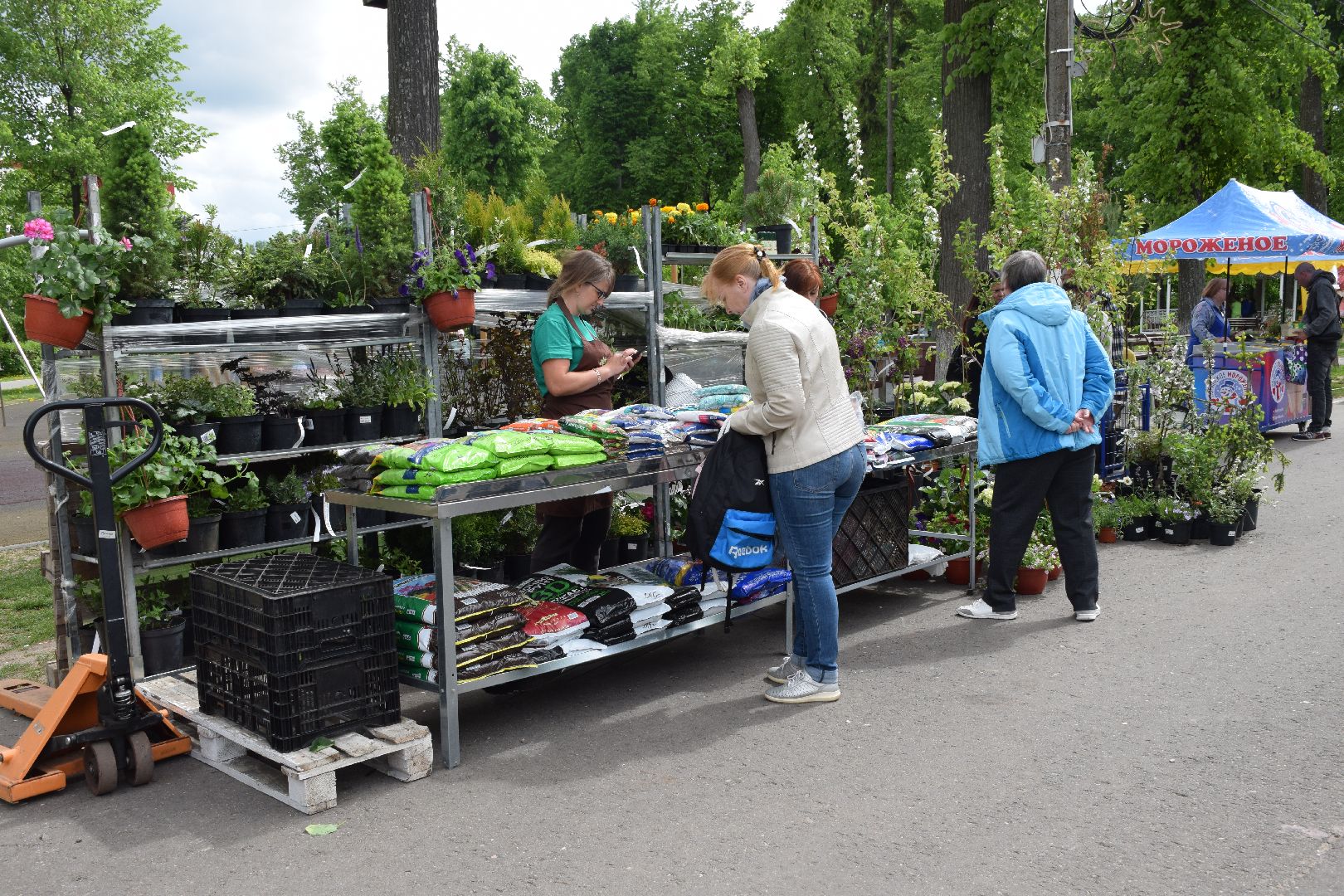 Павловский Посад, городской округ Павловский Посад, фестиваль, рассада, парк