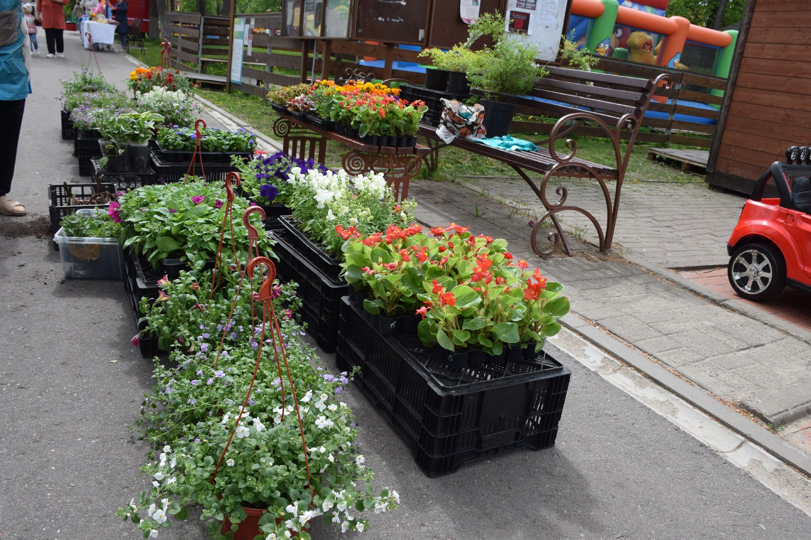 Павловский Посад, городской округ Павловский Посад, фестиваль, рассада, парк
