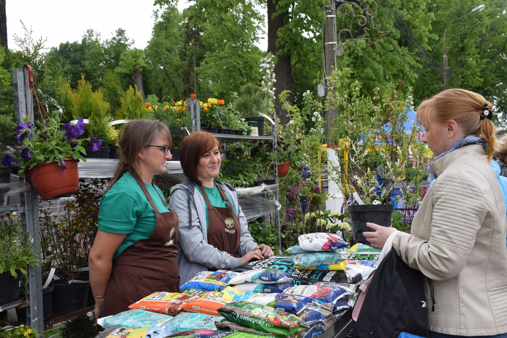 Павловский Посад, городской округ Павловский Посад, фестиваль, рассада, парк