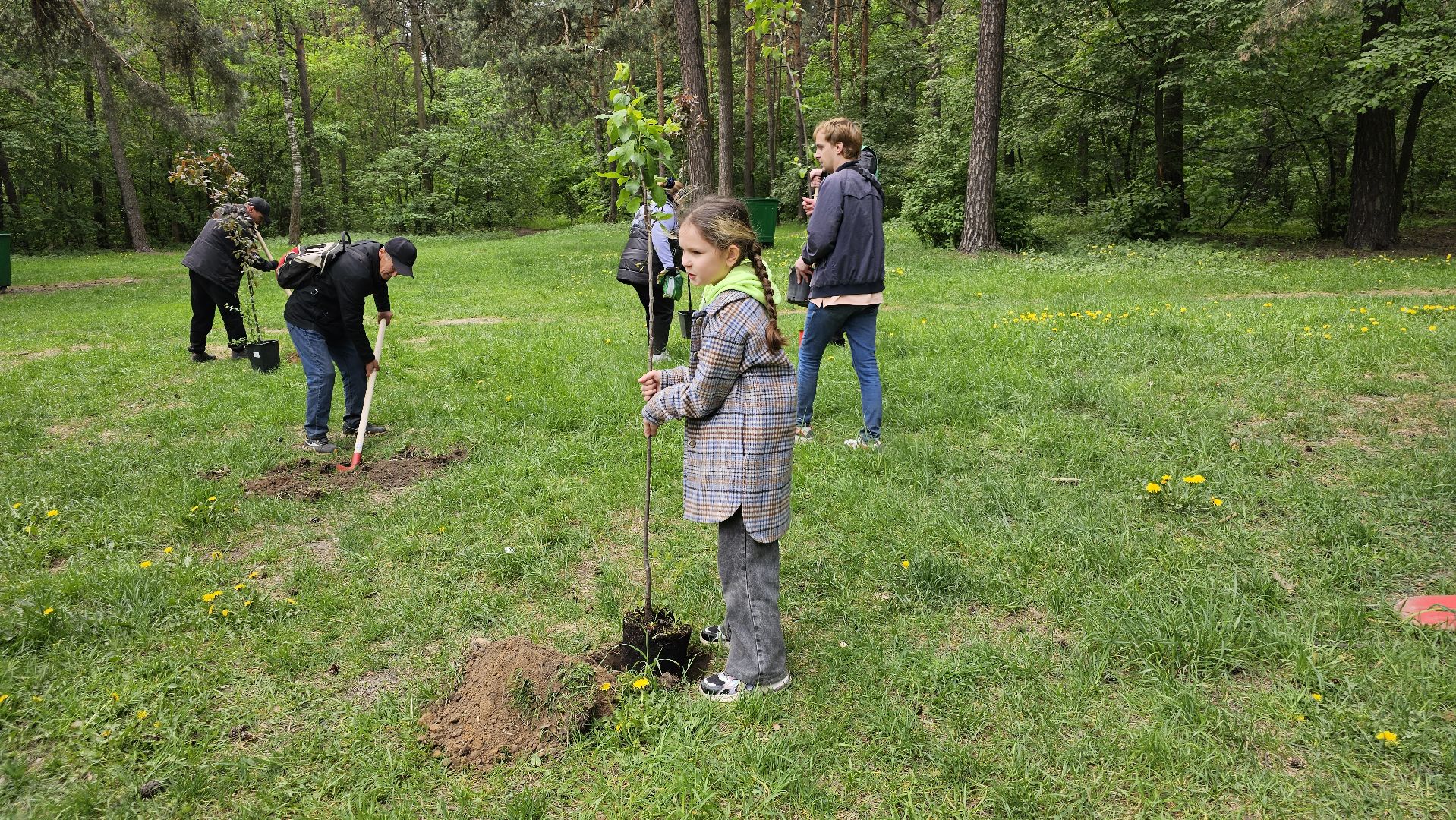 акция, Парковый ответ, посадка слив, Котельники