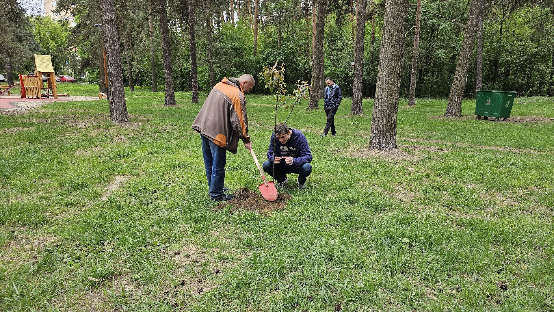 акция, Парковый ответ, посадка слив, Котельники