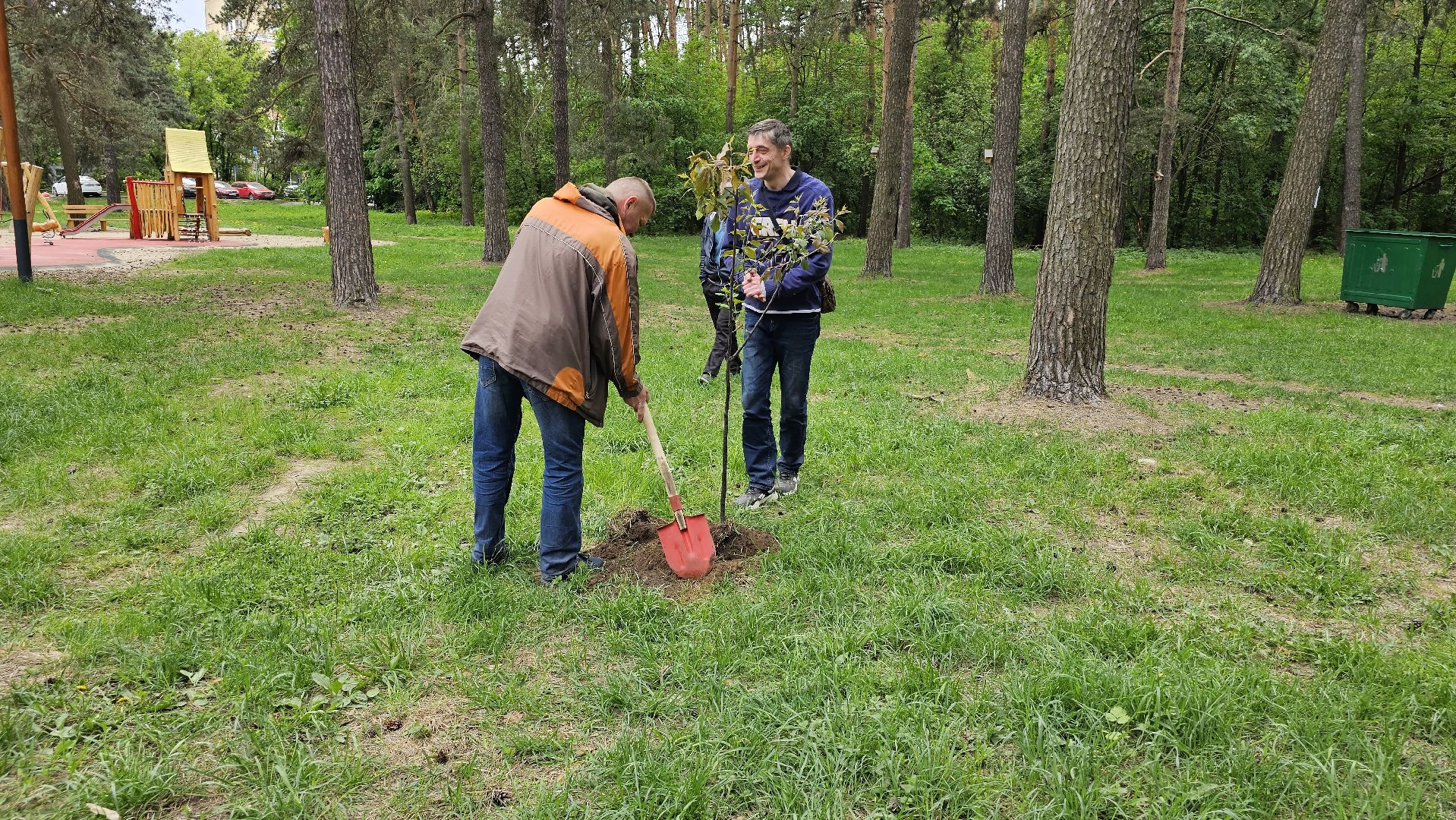 акция, Парковый ответ, посадка слив, Котельники
