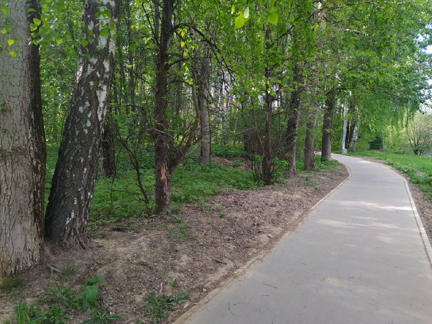 Дедовск, Лес, благоустройство