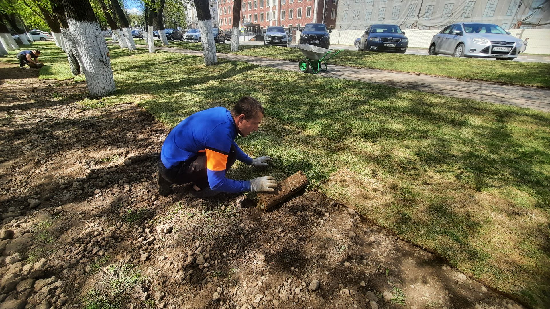 Перемены, Наро-Фоминск, рулонный газон, красота города, благоустройство в Подмосковье й