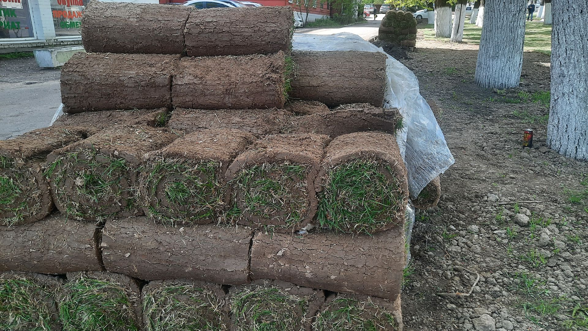 Перемены, Наро-Фоминск, рулонный газон, красота города, благоустройство в Подмосковье й