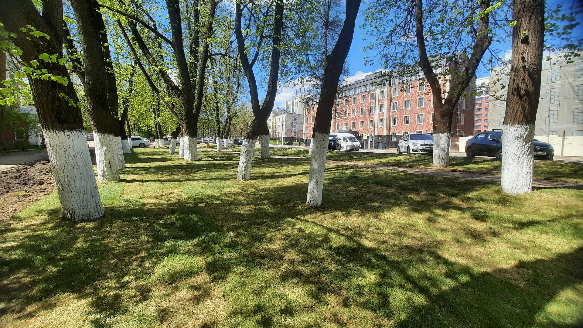 Перемены, Наро-Фоминск, рулонный газон, красота города, благоустройство в Подмосковье й