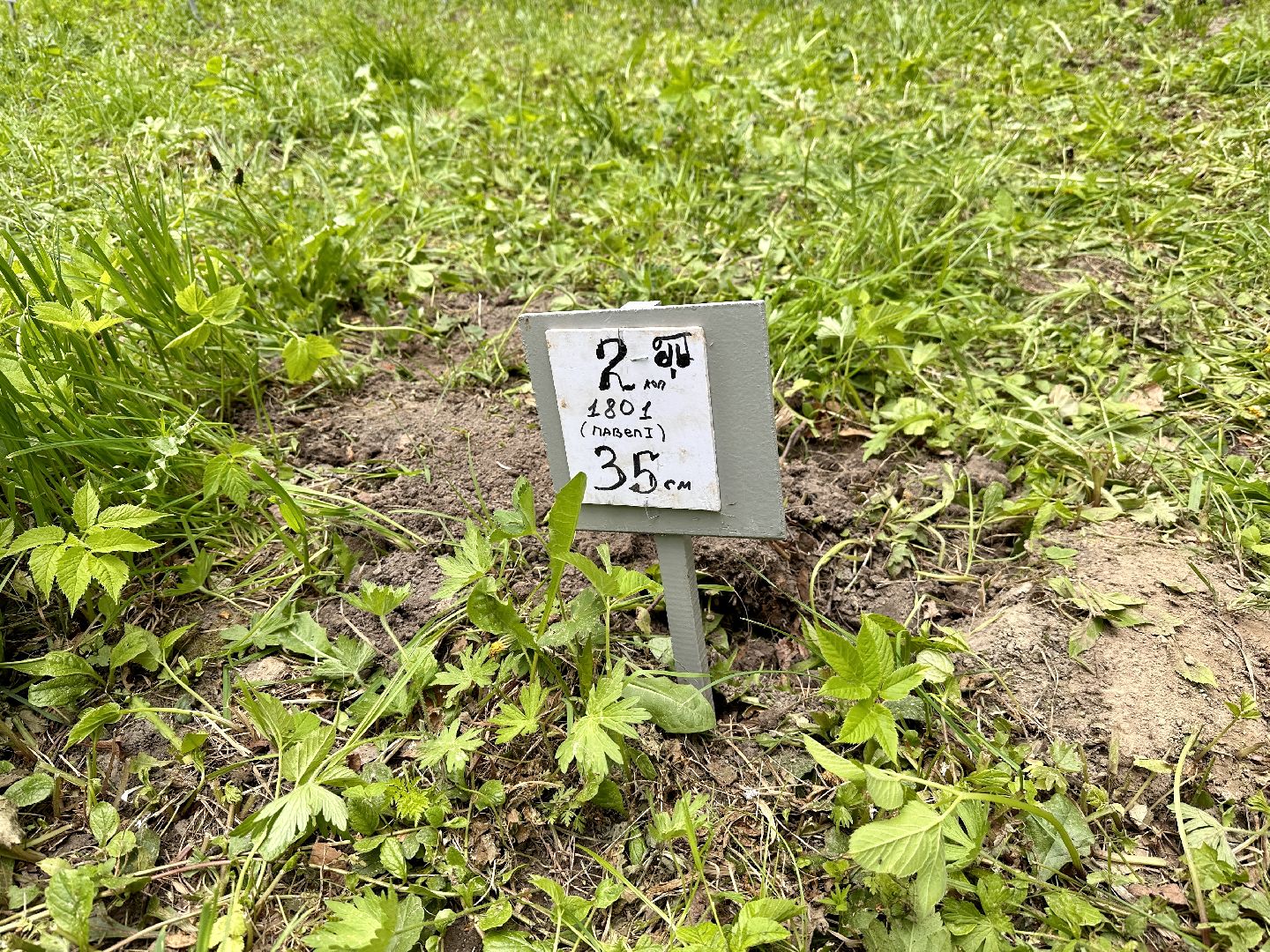 Клин, приборный поиск, люди, фестиваль