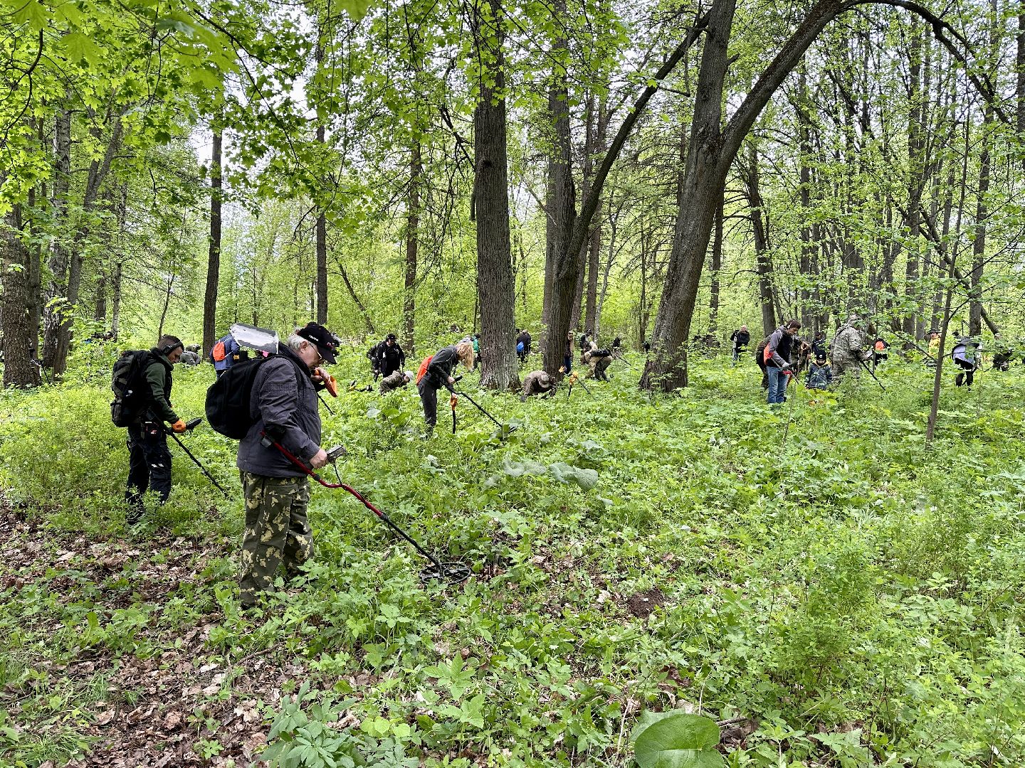 Клин, приборный поиск, люди, фестиваль