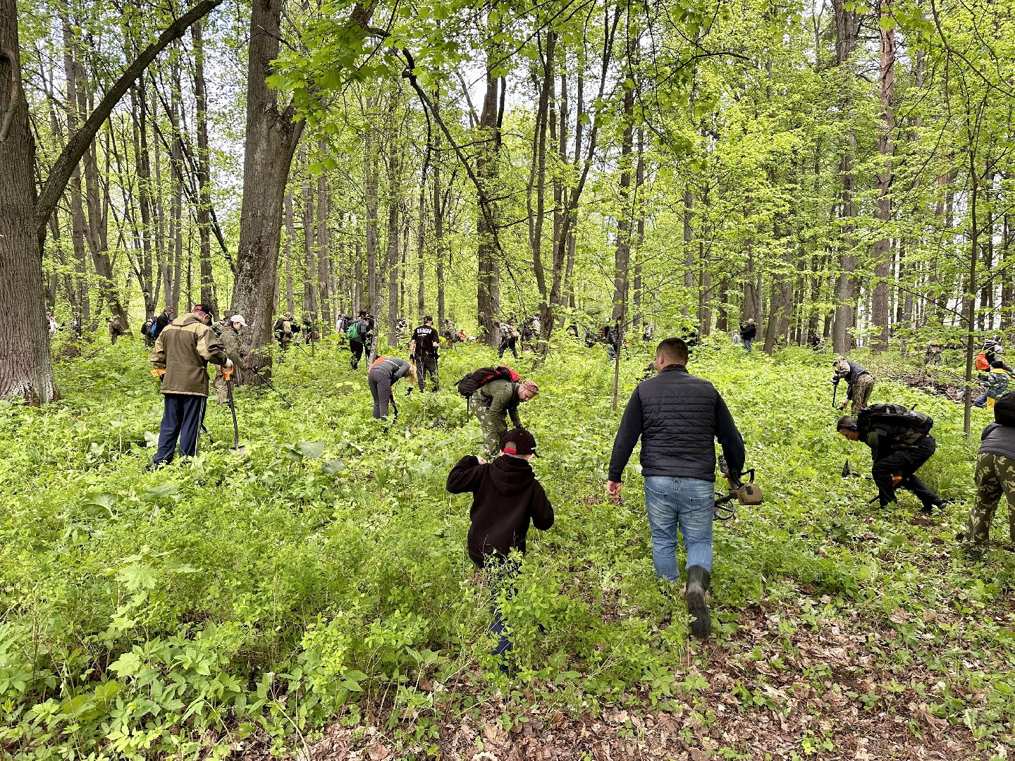Клин, приборный поиск, люди, фестиваль
