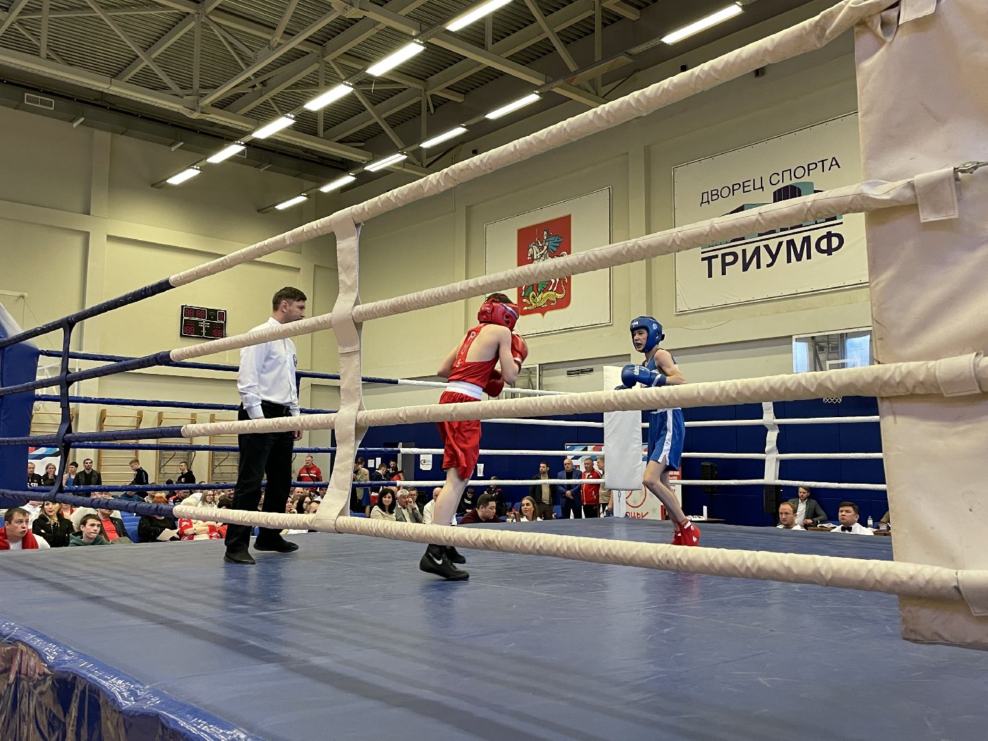 Спорт, бокс, Люберцы, дети