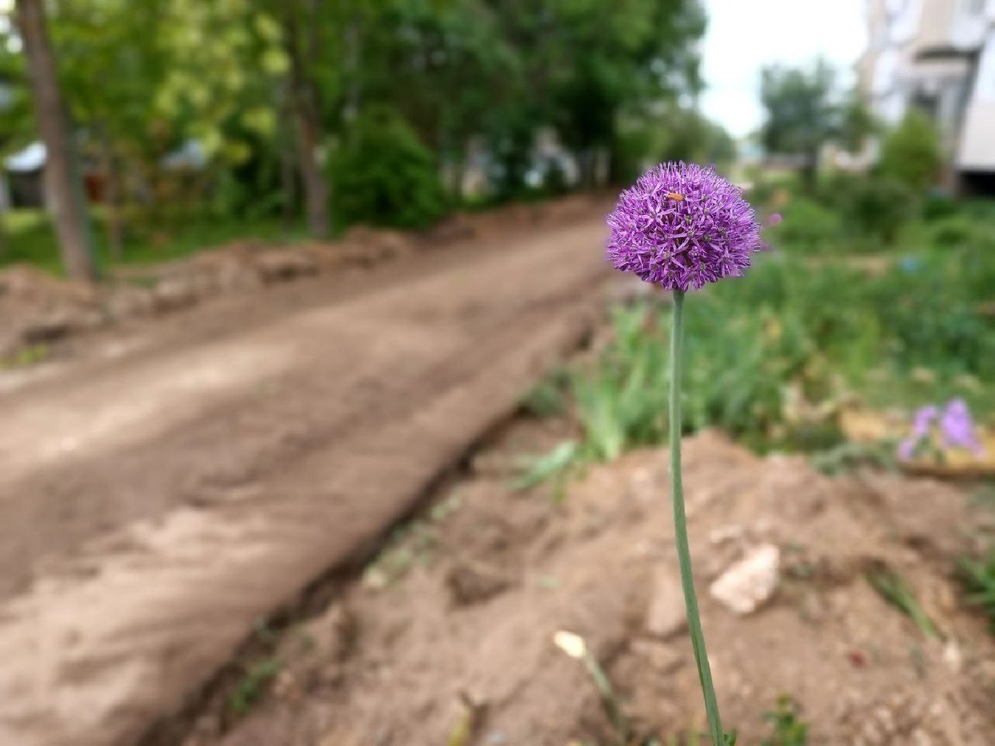 Можайск, Можайский городской округ, Подмосковье, благоустройство, дворовые территории, общественные пространства