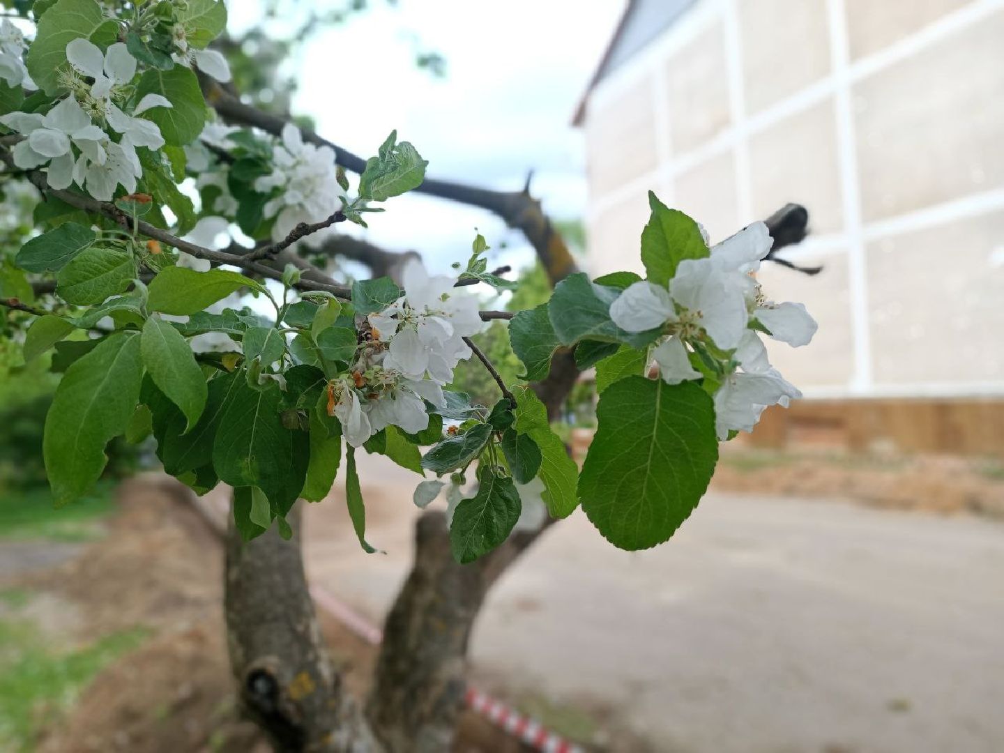 Можайск, Можайский городской округ, Подмосковье, благоустройство, дворовые территории, общественные пространства