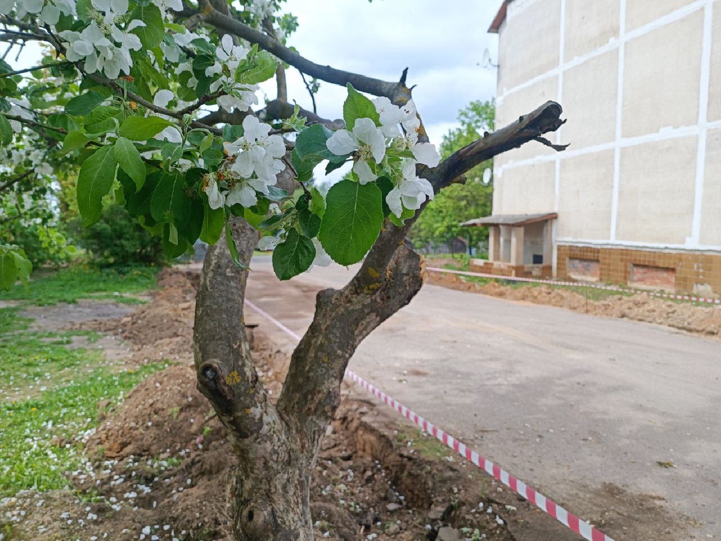 Можайск, Можайский городской округ, Подмосковье, благоустройство, дворовые территории, общественные пространства
