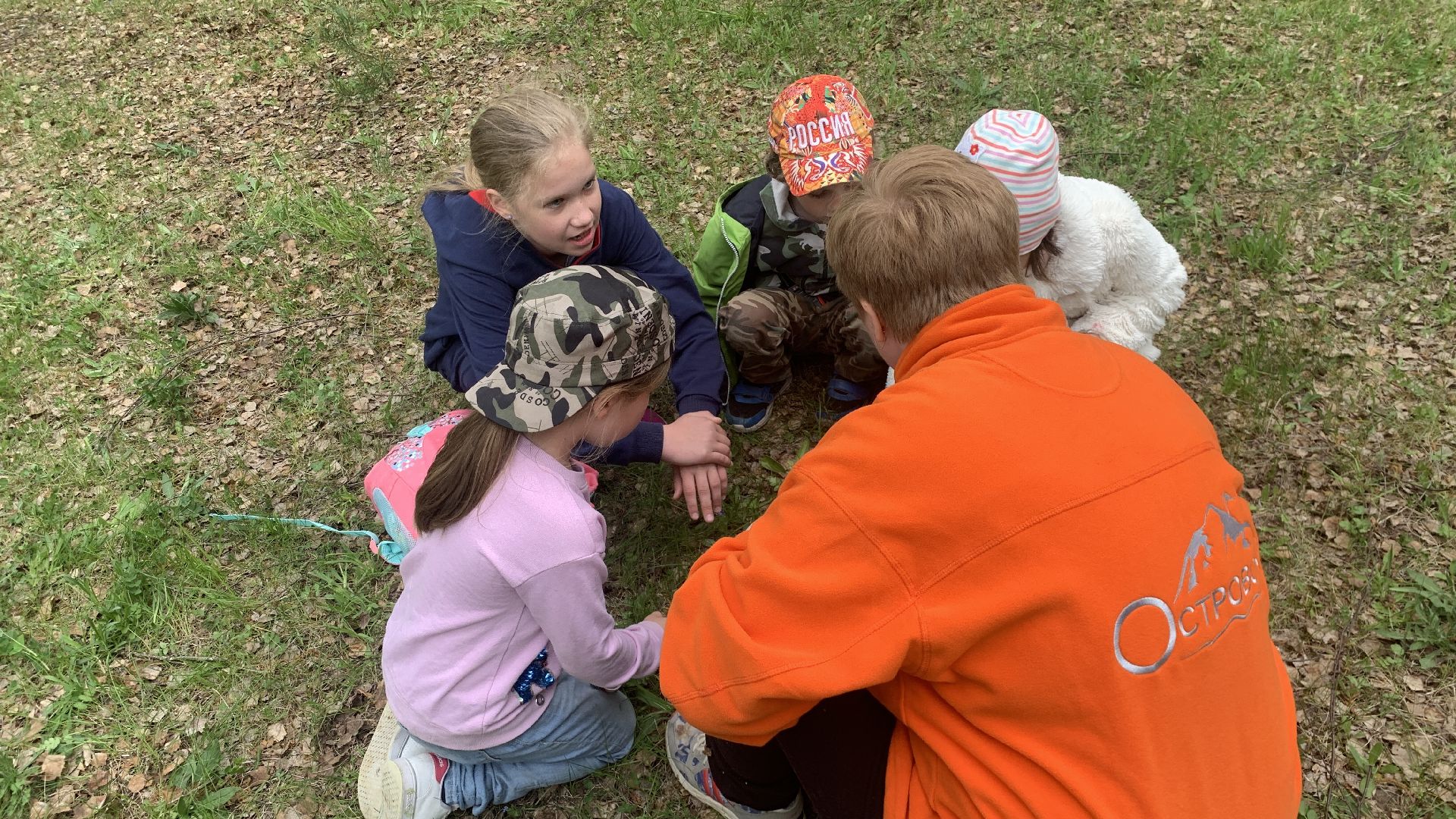 Ступино, допобразование, ДЭЦ Островок