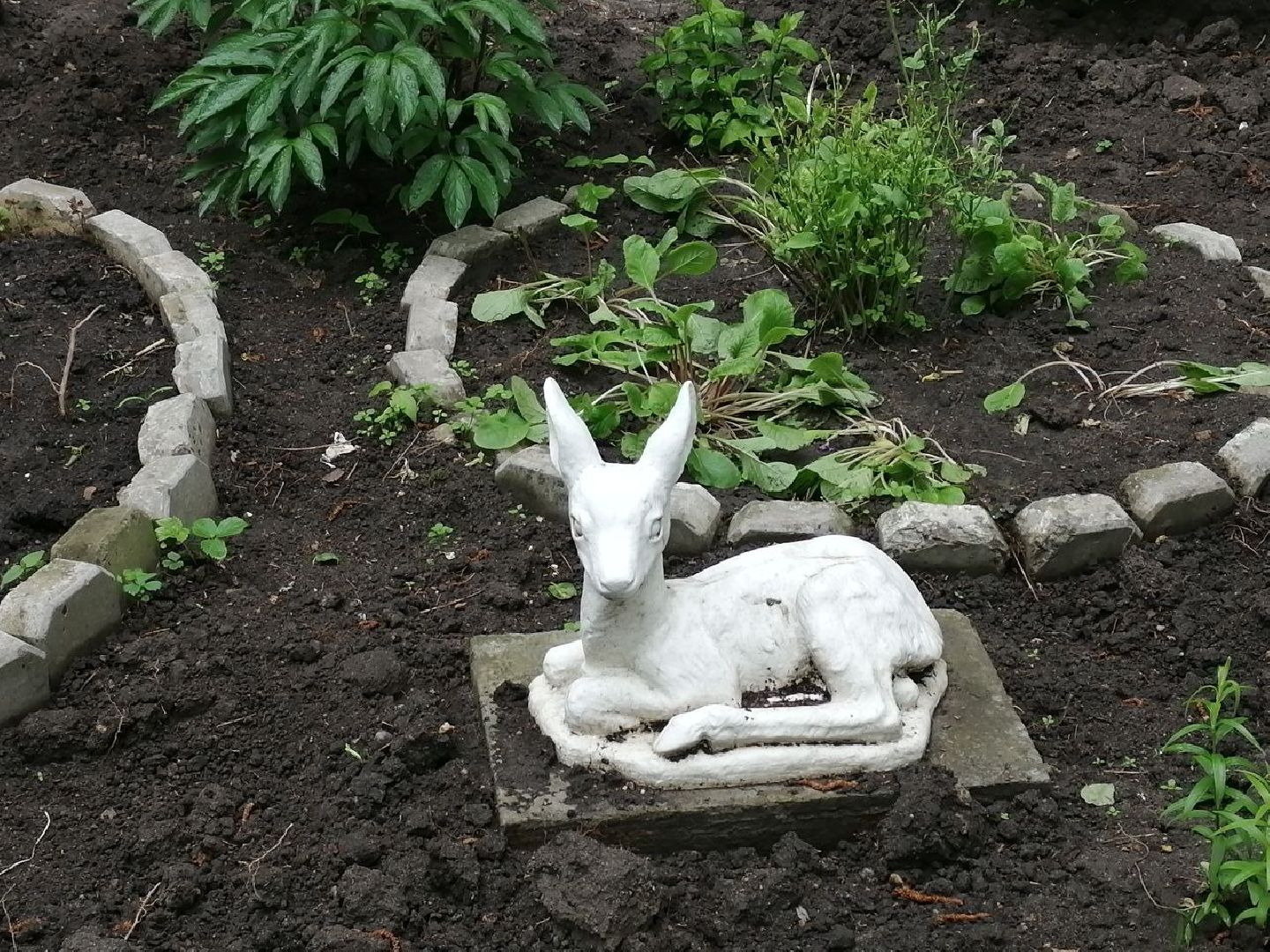 туризм, серпухов, дворы, благоустройство, туристические тропы, цветы, палисадники,