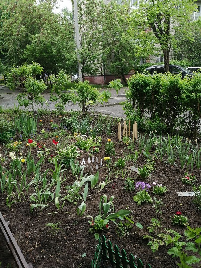 туризм, серпухов, дворы, благоустройство, туристические тропы, цветы, палисадники,