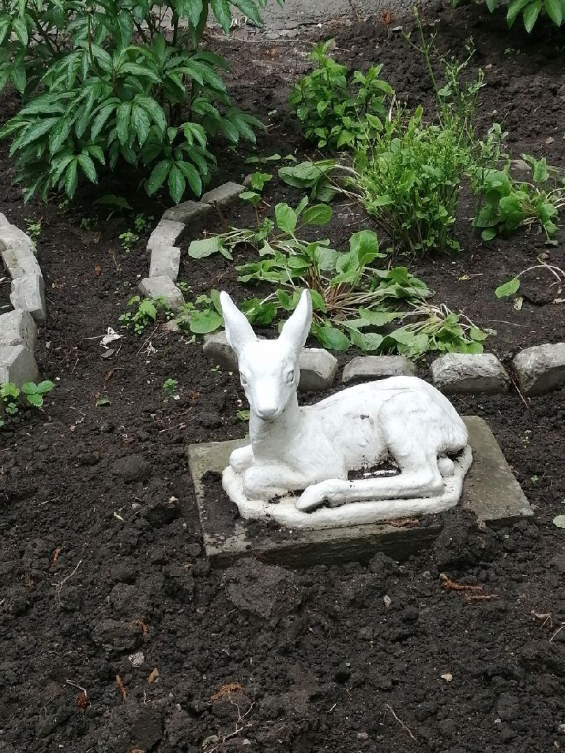 туризм, серпухов, дворы, благоустройство, туристические тропы, цветы, палисадники,