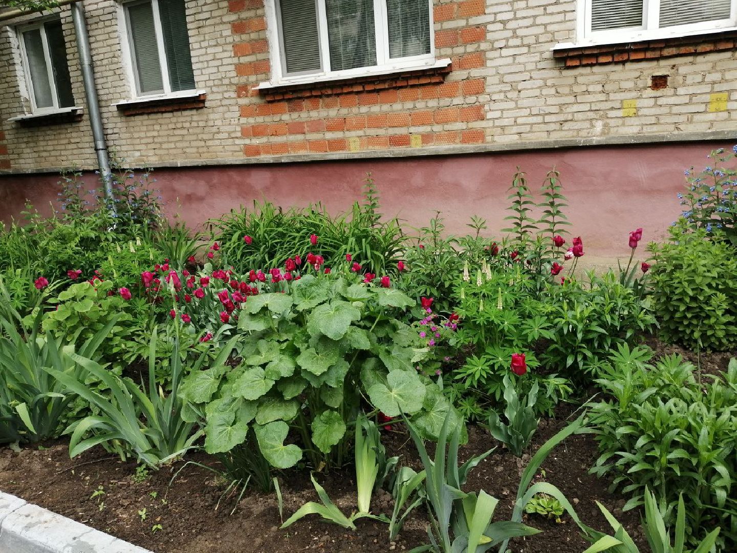 туризм, серпухов, дворы, благоустройство, туристические тропы, цветы, палисадники,