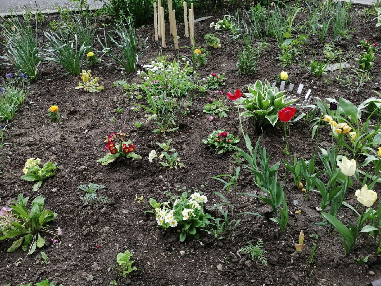 туризм, серпухов, дворы, благоустройство, туристические тропы, цветы, палисадники,