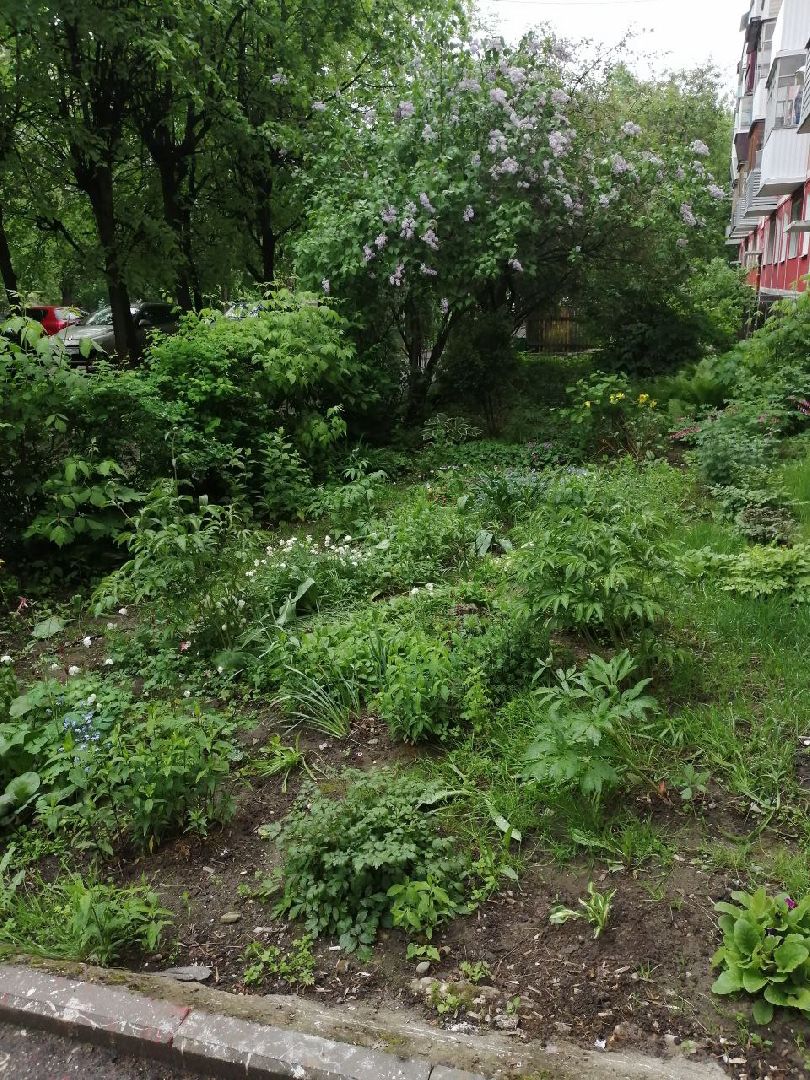 туризм, серпухов, дворы, благоустройство, туристические тропы, цветы, палисадники,