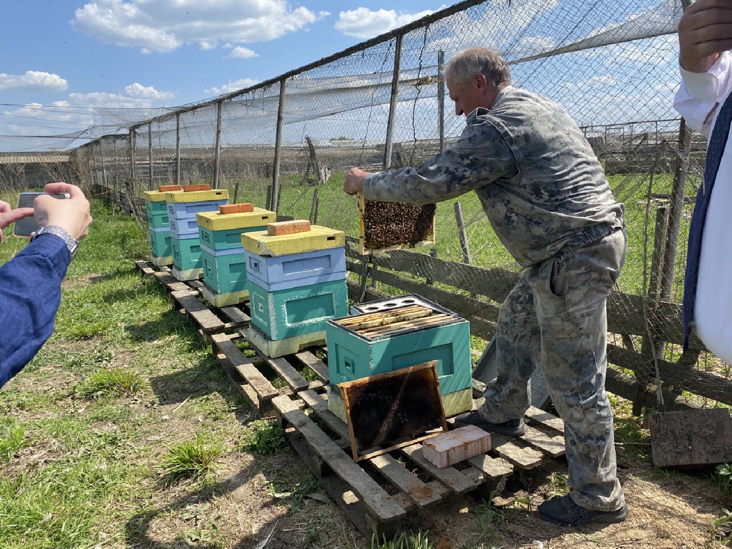 Чехов, ферма пчелы, ульи, мед, опыление