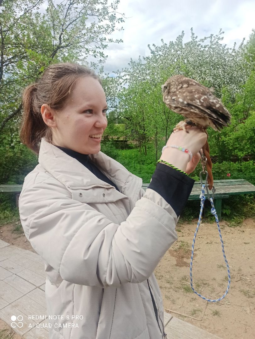 #талдомскийокруг, #совы, #совиныйфест, #фестиваль, #ярмарка