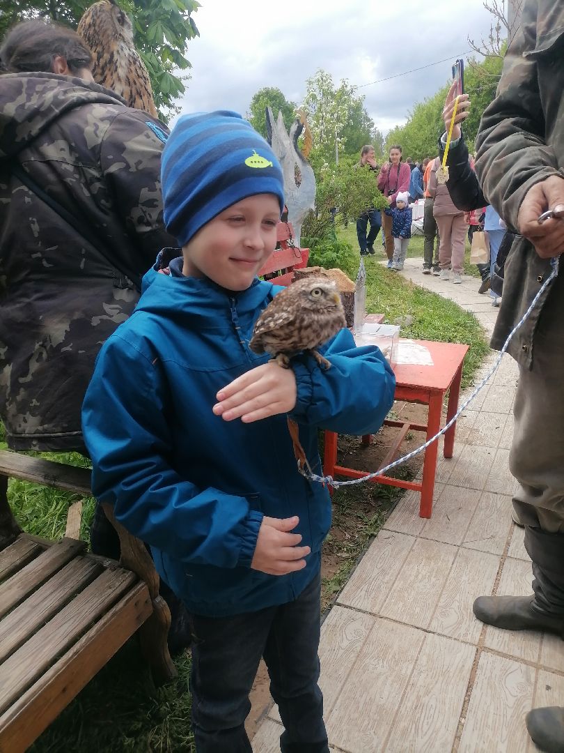 #талдомскийокруг, #совы, #совиныйфест, #фестиваль, #ярмарка