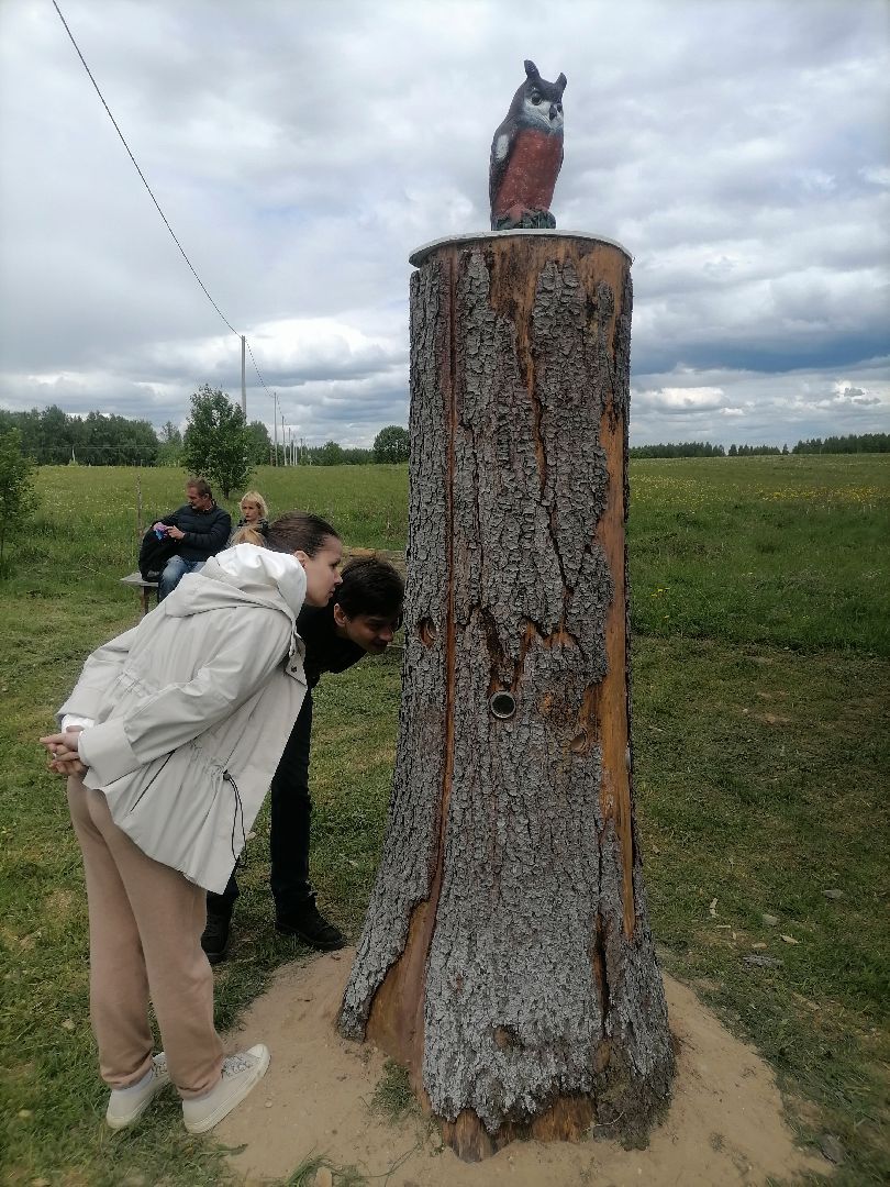 #талдомскийокруг, #совы, #совиныйфест, #фестиваль, #ярмарка