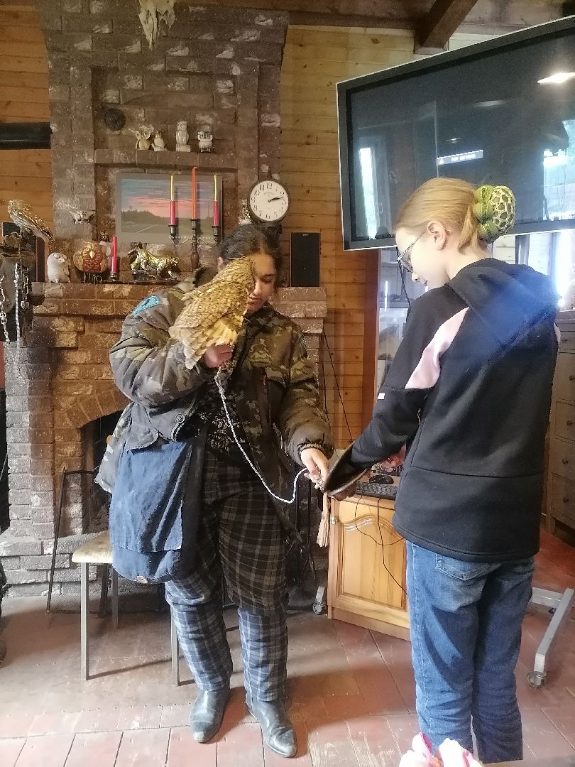 #талдомскийокруг, #совы, #центрреабилитации, #Переславль-Залесский, #птицы