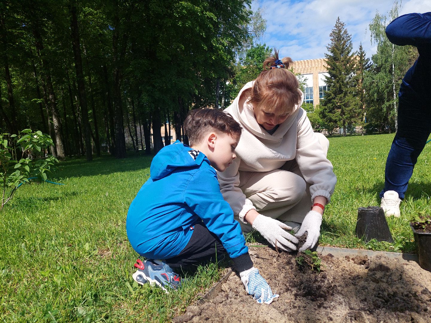 благоустройство, парки, парковый ответ, общество