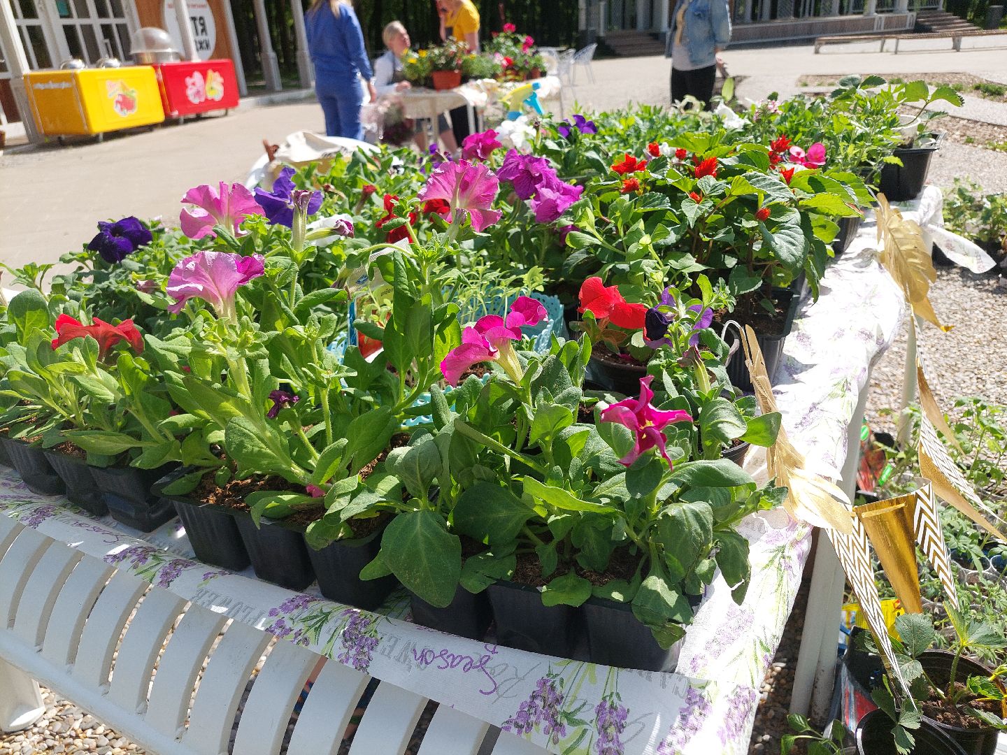 благоустройство, парки, парковый ответ, общество