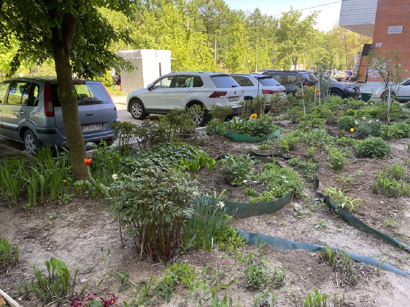 Чехов, благоустройство, житель, сад, МКД